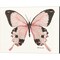 Butterfly by Stellar Design Studio 15" x 12" Canvas Wall Art (Set of 2)